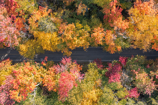 Aerial View of Multi Colored Boreal Forest and Laurentian Mountain Landscape in Autumn, Quebec, Canada. It is a beautiful sunny autumn day.