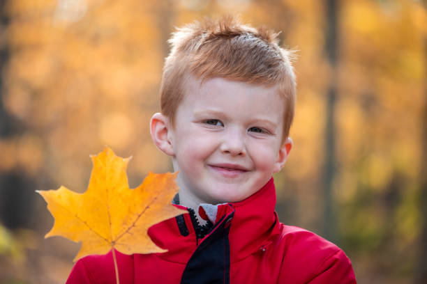 petit garçon roux mignon faisant de la randonnée et cueillant des feuilles d’automne dans la forêt au québec, canada - child blank expression pensive focus on foreground photos et images de collection