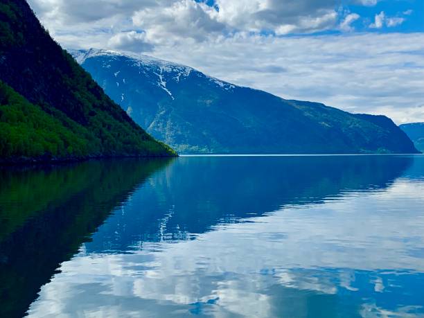 istock Norwegian Fjord 1370994539