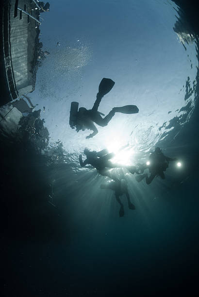 istock Scuba divers in silhouette 137099742