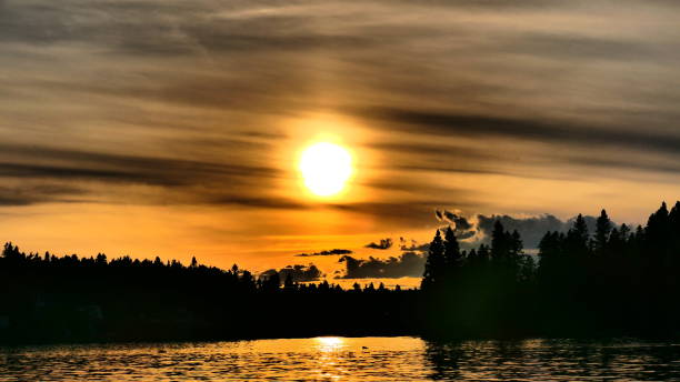 istock Sunset over the forest at the water's edge 1370998160