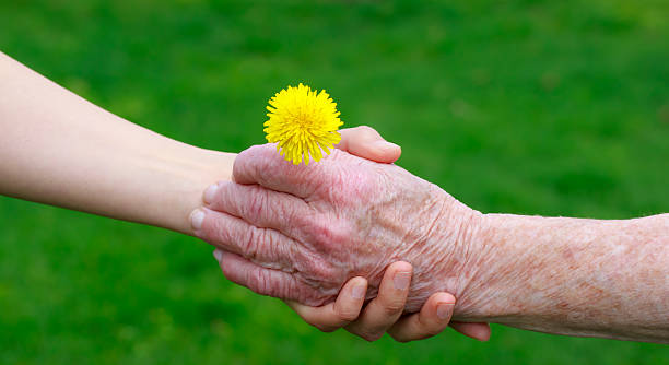 istock Senior and young hands holding a dandelion 137100619