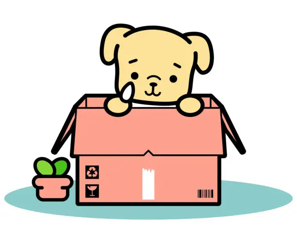 Vector illustration of A little dog in a cardboard box waits to be adopted