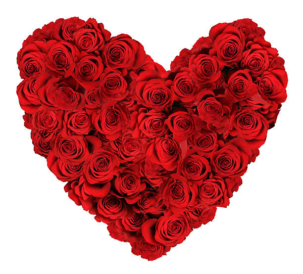 istock Heart Shaped Bouquet of Roses Over White Background 137100821