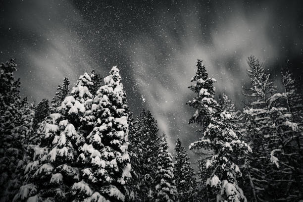 neige sur le ciel - lake night winter sky photos et images de collection