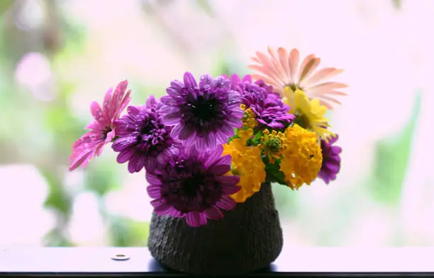 Beautiful colorful flower vase with variety daisy blossom on wooden window frame of house to decor home in springtime