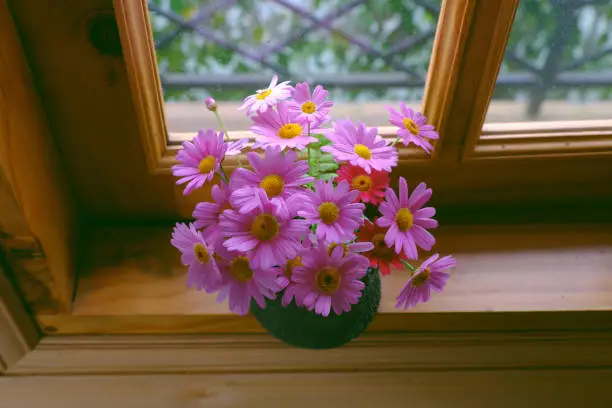Beautiful pink flower vase with many tiny daisy blossom on wooden window frame of house to decor home in springtime