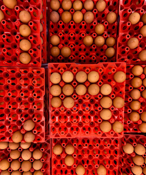 istock pile of eggs in supermarket 1371010534