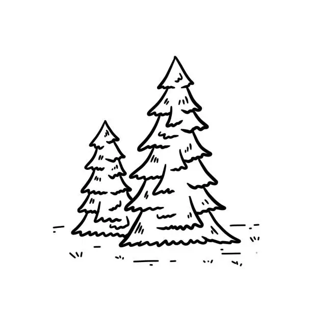 Vector illustration of Christmas trees in forest. Two trees in engraving style. Hand drawn outline cartoon