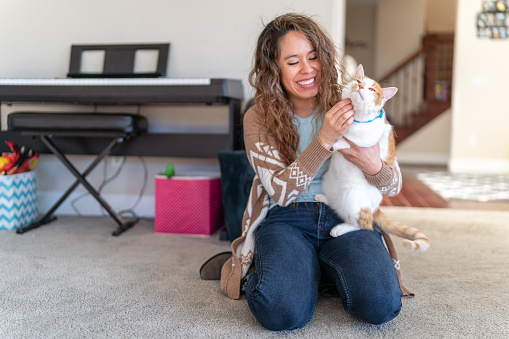 A cute white and orange cat looks happy as his beautiful Columbian owner affectionately scratches his chin. The female pet owner is holding the cat and sitting on the floor in her house. The cat is wearing a blue PetArmor flea and tick collar.