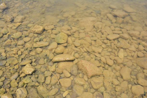 istock Stones of the lake 1371018109