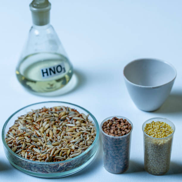 Millet, rice, buckwheat, pearl barley in the laboratory for food quality control of grain crops. Various varieties of cereals in a food laboratory. Chemical tubes, petri dishes, glass vials. tubos químicos, placas de petri, viales de vidrio. mijo, arroz, trigo sarraceno, cebada perlada en el laboratorio para el control de calidad de los alimentos de los cultivos de granos. varias variedades de cereales en un laboratorio de alimentos.