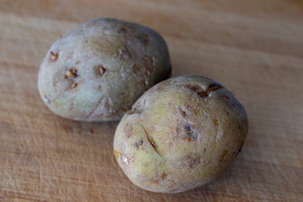 istock organic grown natural potatoes on wooden table 1371032066