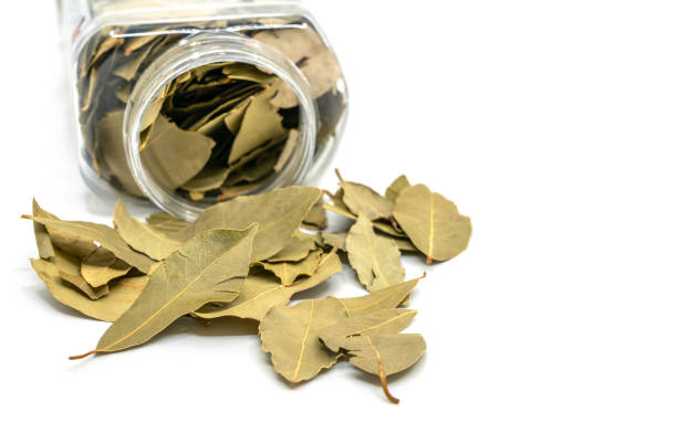 Close-up bay leaves spread out of cleared plastic packaging on white background