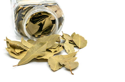 Close-up bay leaves spread out of cleared plastic packaging on white background.