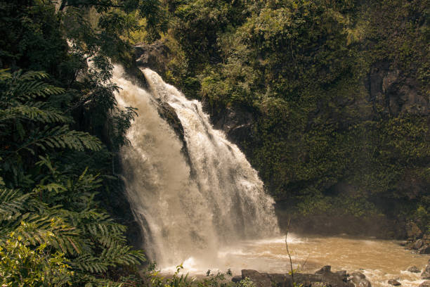 ハナ、マウイ島、ハワイ島の隠された滝からの映画シーン - waterfall maui hawaii islands hana ストックフォトと画像