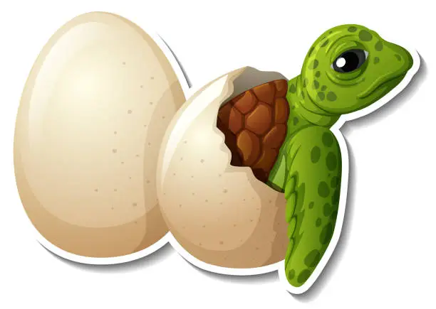 Vector illustration of Baby turtle hatching from an egg animal cartoon sticker