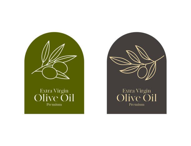 ilustraciones, imágenes clip art, dibujos animados e iconos de stock de diseño de etiquetas de aceite de oliva con artes de línea de rama de olivo - aceite de oliva