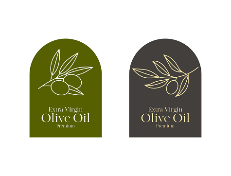 olive oil label design with line arts of olive branch