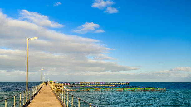 istock Moonta Bay jetty during early morning 1371040866