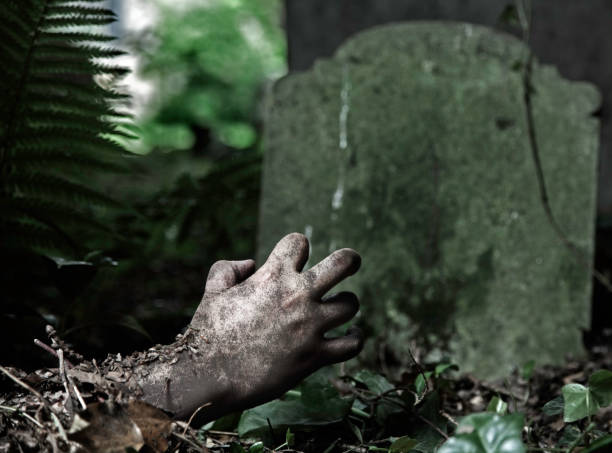 istock A rotting hand reach out from under the grave 137104100