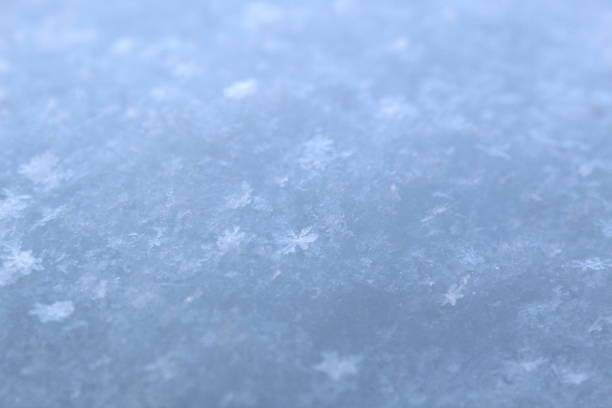 Texture white snow in sunny weather background