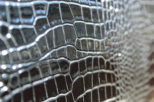 Texture of a shiny imitation leather under a black snake