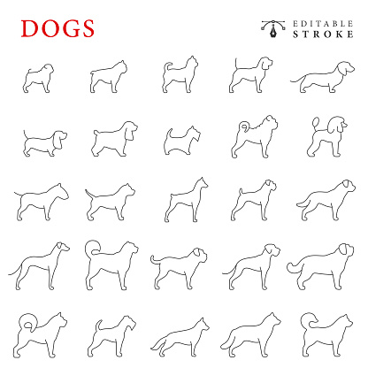 Dogs line icon set. Editable stroke.