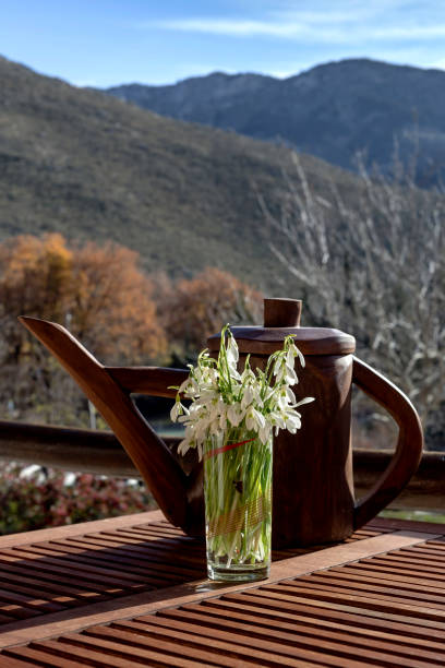 istock Still life with snowdrops on the table close-up 1371048430