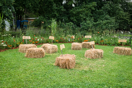 Rectangular bales of compressed hay are scattered around the clearing. Harvesting straw for animal feed. Haystacks left in the field .