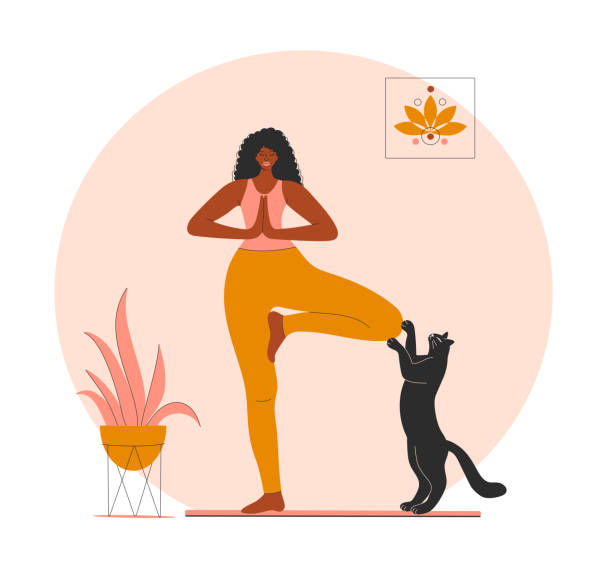 illustrations, cliparts, dessins animés et icônes de femme afro-américaine faisant du yoga à la maison avec son mignon chat. - silhouette animal black domestic cat