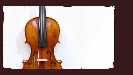 Classic violin closeup on a white background. Fragment of musical stringed instrument.