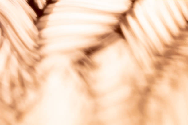istock Palm leaves and shadows on a color wall background. 1371053061