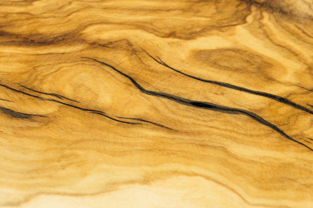 close-up de um pedaço cortado e seco de oliveira velha. textura de madeira, padrão de árvore antiga - wood furniture macro antique - fotografias e filmes do acervo