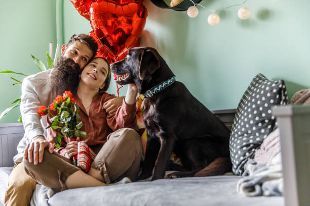 romantisches paar kuschelt mit dem hund, während es den valentinstag feiert - dogrose stock-fotos und bilder