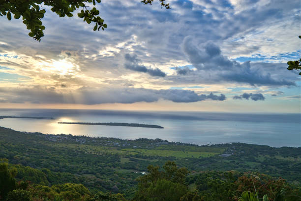 istock Tropical panorama landscape with trees and palms. 1371055851