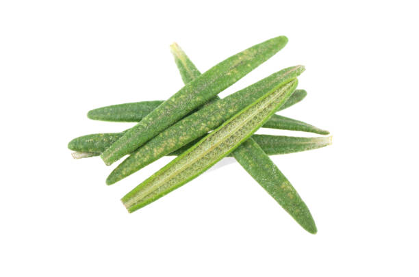 istock Rosemary twig and leaves isolated on white background. 1371056623