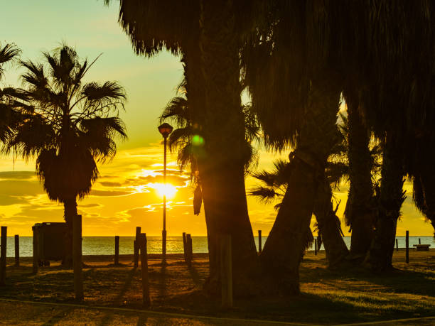 Sunset over sea shore, evening coast landscape. Motril beach, Andalusia Spain.