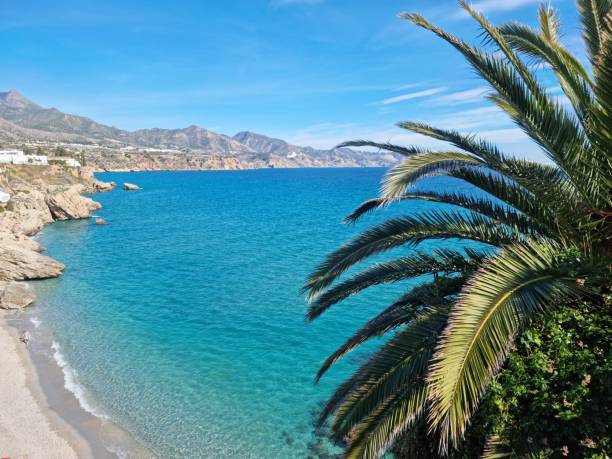 istock Palm leaves on panoramic mountain sea beach. Landscape ocean view. 1371060809