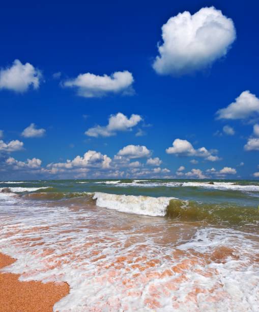 istock stormy summer sea 1371061079