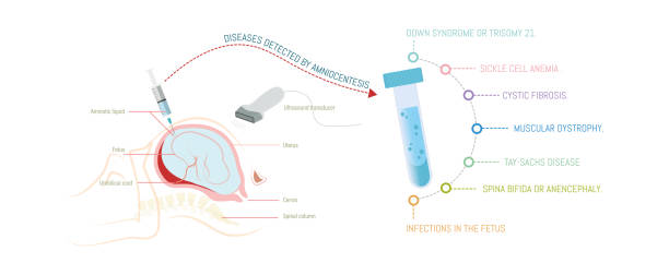 양수에 의해 검출된 질병 - dna chromosome genetic research genetic mutation stock illustrations