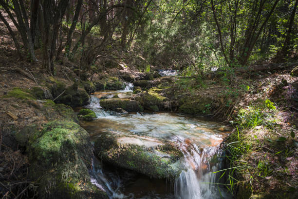 istock Water jump among green leaf beech trees in Aragon, Spain 1371061744
