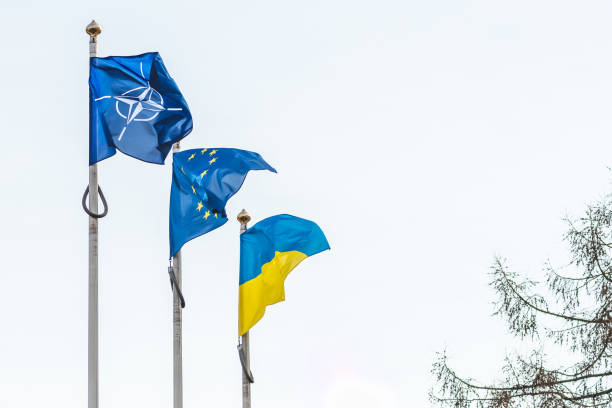 북대서양조약기구(nato) 국기, 유럽연합, 우크라이나 - european community government flag sign 뉴스 사진 이미지