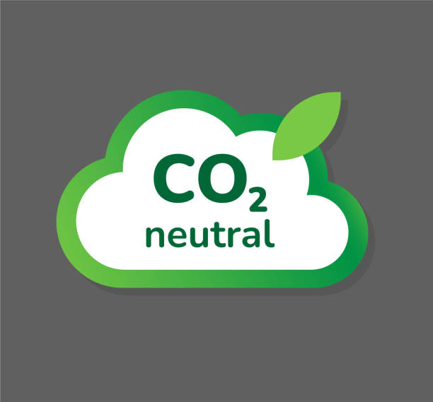 ilustrações de stock, clip art, desenhos animados e ícones de co2 neutral emblem sign icon. zero carbon footprint sticker icon. flat style green cloud with leaf carbon neutrality concept vector illustration. eco friendly stop global warming climate change. - footprint carbon environment global warming