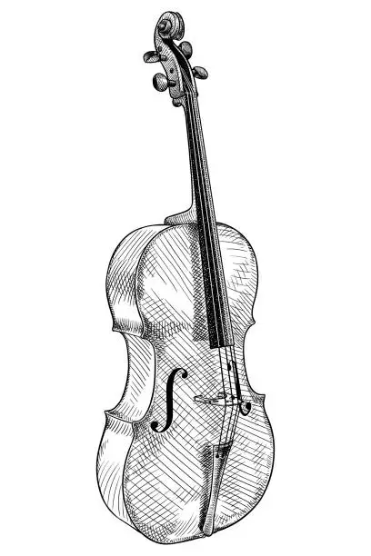 Vector illustration of Vector drawing of a cello