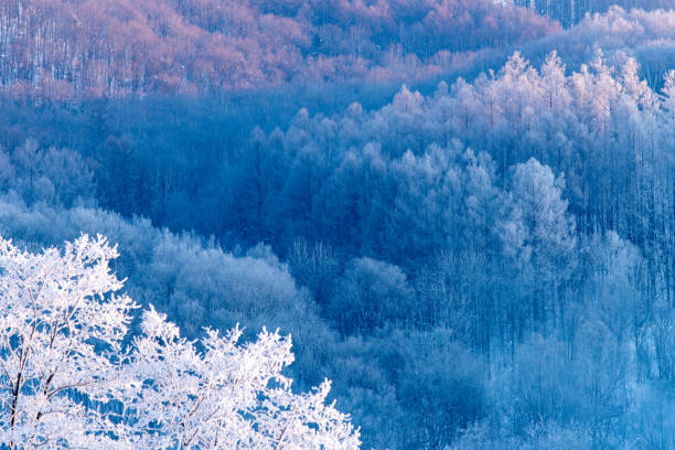 Temperature was -25 degrees when I took pictures there.