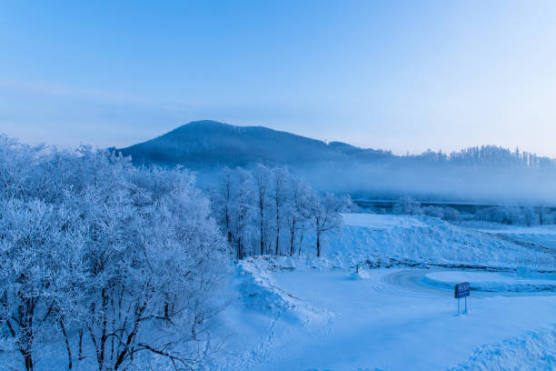 istock Frost covered trees in Furano in Hokkaido. 1371066010