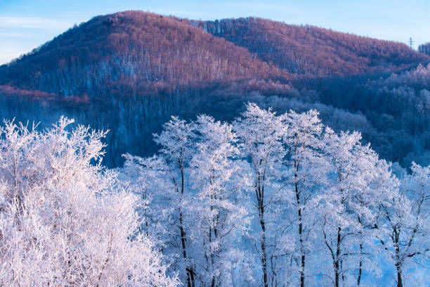 Temperature was -25 degrees when I took pictures there.