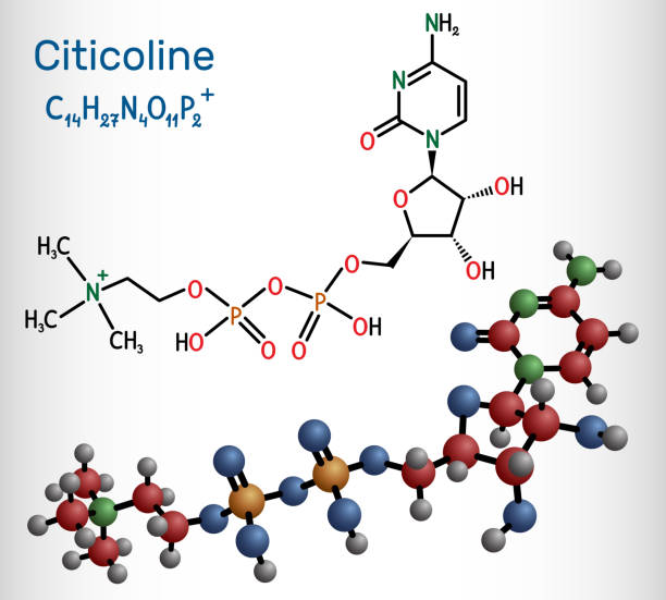 illustrations, cliparts, dessins animés et icônes de citicoline, cdp-choline, cytidine diphosphate-choline molécule. il est utilisé comme supplément nutritionnel. formule chimique structurale et modèle moléculaire. - nutritional