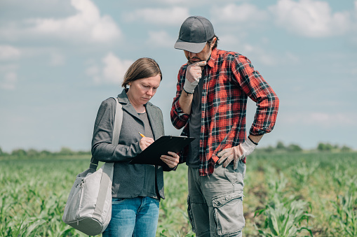 Mortgage loan officer assisting farmer in financial allowance application process, banker and farm worker in corn maize crop field.